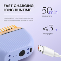 Brosse chauffante sans fil PRITECH, mini lisseur de cheveux rechargeable, mini peigne chauffant électrique de poche pour les voyages