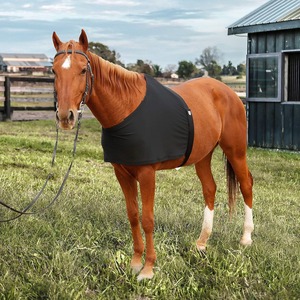 Chaleco elástico para caballo, negro, de licra, protector de pecho con correas para los hombros, para protección equina - Product Image 4