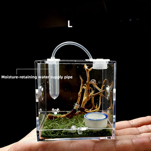 Terrario per Ragni Saltatori - Piccolo Contenitore Non-Captive per l'Esposizione - Trasportino per Insetti Ragni Saltatori della Florida con Umidificatore e Porta per l'Alimentazione - Product Image 5