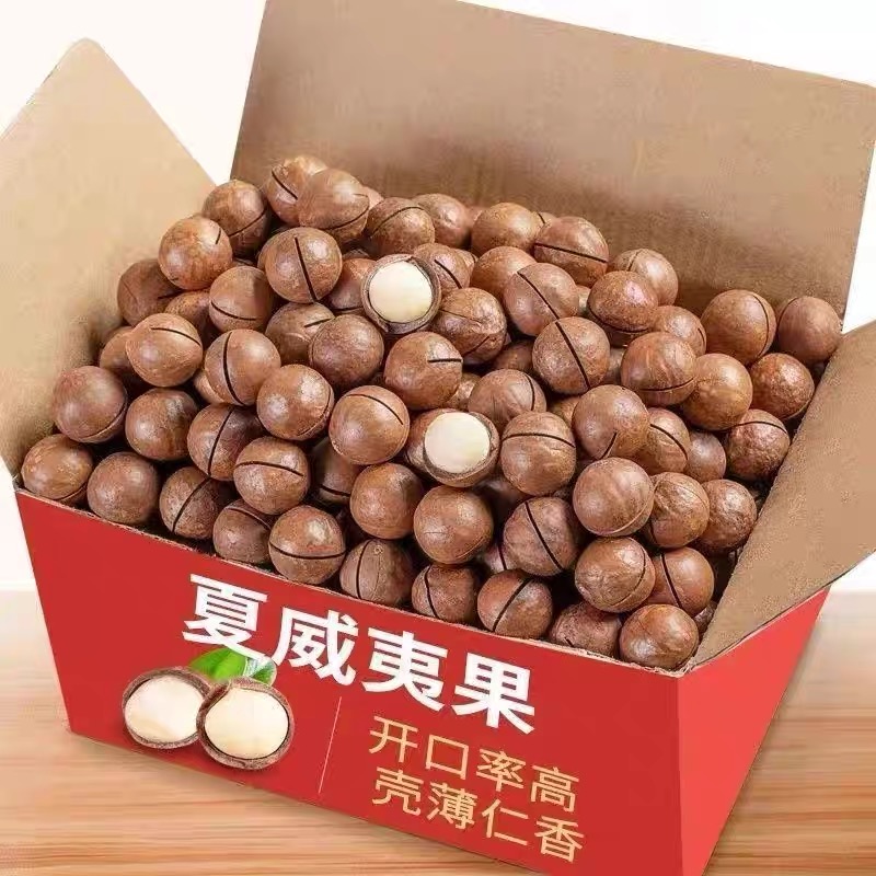 Verified Supplier Macadamia Price Roasted & Natural Snack