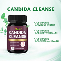 Capsules Probiotiques Nettoyantes OEM/ODM pour Candida, à base d'Herbes Naturelles, Soutien Digestif Intestinal, Détox Santé du Côlon, Capsules Nettoyantes Candida