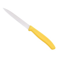 Offre Spéciale Couteau à Fruits à Manche en Plastique, Couteau d'Office, Couteaux à Beurre et à Steak en Acier Inoxydable, Outils de Découpe de Fruits, Gadgets de Cuisine en Gros