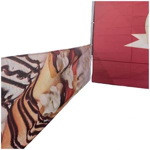 Tenda Pieghevole per Eventi Esterni e Fiere 10x10ft, Gazebo Pubblicitario 20x10ft, Design Professionale OEM Gratuito - Product Image 5