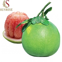 Biologische verse grapefruit pomelo citrusvruchten groene schil roze vruchtvlees 2kg Graad A 100% rijp Ben Tre Vietnam export