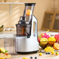 Eenvoudig Te Bedienen Automatische Thuis Multifunctionele Lage Snelheid Vers Fruit Juicer