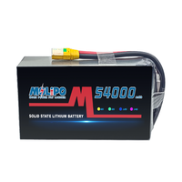 Литий-полимерный аккумулятор Molipo SS06160, 54000 мАч, 6S-24S, высокой энергоемкости, для электроинструментов, гольф-каров, бытовой техники