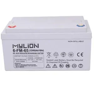 Rechargeable Lead Acid GEL AGM Battery 12V 65AH Customized Pack For Solar System And Storage