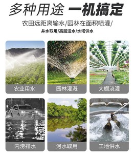 Áp Lực Cao Duy Nhất Giai Đoạn Wp20 2 Inch Điện Xăng Xăng Động Cơ Máy Bơm Nước Cho Nông Nghiệp Điện 5.5KW OEM Tùy Chỉnh - Product Image 5