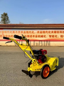 <span class=keywords><strong>Motozappa</strong></span> Compatta Multifunzione a Benzina per Diserbo, Dissodamento, Scavo e Aratura in Agricoltura Domestica - Product Image 5