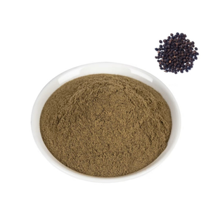 批发优质香料调味粉黑胡椒粉 - Product Image 1