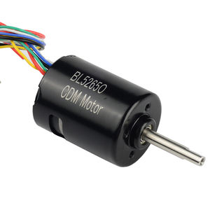 Motore a corrente continua Brushless da 52mm Bldc <span class=keywords><strong>100W</strong></span> 24V 6000RPM con magnete permanente per la pulizia robotizzata della piscina - Product Image 3