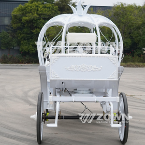 Carruaje Eléctrico de Lujo Estilo Princesa Cenicienta para Bodas, con Forma de Calabaza, 4 Ruedas, 4-6 Asientos, 2 Años de Garantía - Product Image 5