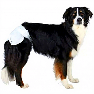 2023 New Pet Pull Pants <b>Diaper</b> for Female Dogs Disposable Breathable Heavy Absorbency Puppy Use Non Woven Fabric All-Season - Product Image 1