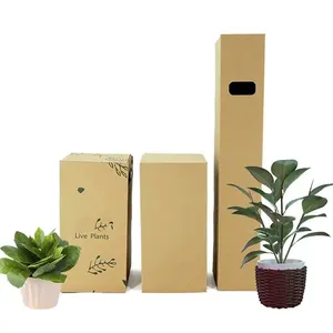 공장 도매 골판지 크래프트 라이브 식물 배송 우편물 상자 심기 꽃 선물 상자