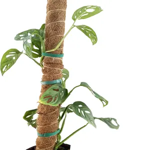 Garden planted natural coconut fiber climbing plant companion coconut fiber plant grows up to 17 inches coir stick