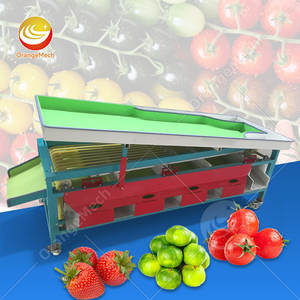 Línea de Clasificación Automática de Frutas ORME, Clasificadora de Tamaño para Peras Pequeñas, Kiwis, Manzanas, Cítricos, Aguacates y Papas - Product Image 1