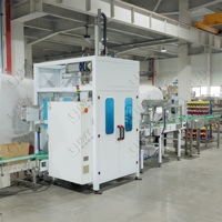 LWT kepala tunggal kemasan casing robot untuk botol air botol jus botol minyak dapat dimakan tinju otomatis