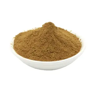 Pure Organic Favorable Natural Ginkgo Biloba Extract