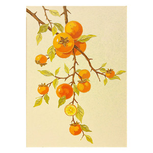 Creamy Persimmon Branches <b>Fruit</b> Landscape Hand Painted Oil <b>Painting</b> 60x90cm No Frame Modern Minimalist Living Room Decor - Product Image 5