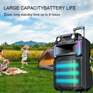 Altavoces Karaoke Bluetooth Cornetas en Oferta, Bocina Amplificada de 12 Pulgadas, Altavoz Bluetooth para Fiestas con Subwoofer y Caja de Sonido - Product Image 3