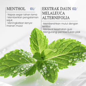 Enjuague Bucal KORMESIC con Mentol, Certificado por Bpom, Marca Privada, 250 ml, Aliento Fresco a Menta, Cuidado Bucal Refrescante, Agua Limpiadora - Product Image 4