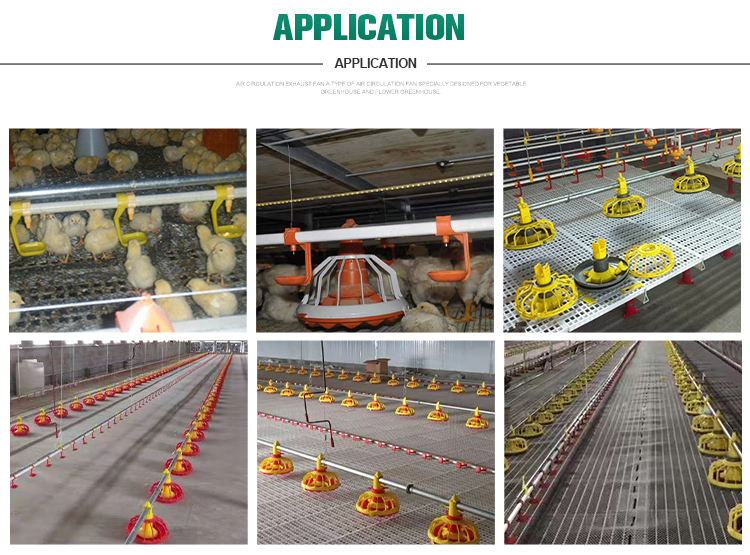 Broiler Chicken Farming Equipment 380v With 1 Year Warranty