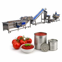 Volledig automatische industriële machine voor het maken van saus, ketchup, fruitjam en kleine tomatenpuree productielijn