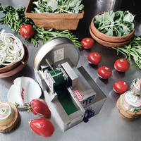 Alat pemotong sayur dan buah komersial Tiongkok kualitas tinggi pengiris kubis wortel elektrik Chip pengiris kentang