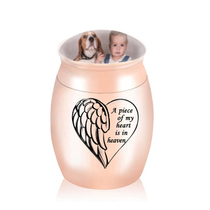 Urn commémoratif du chat et chien, en alliage <span class=keywords><strong>d</strong></span>'aluminium, cadeau, funérailles, Souvenir, une pièce de my cœur est in raven - Product Image 2