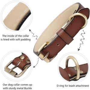 ปลอกคอสุนัขหนังปรับได้พร้อมโลโก้สั่งทำขายส่ง - Product Image 2