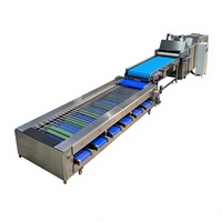 Hete Aanbieding: Zacht Aanvaardbare Multi-Stage Olijfsorteermachine voor Versfruitfabrieken