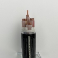 Gaine extérieure en PVC câble d'alimentation électrique bande d'acier conducteur en cuivre blindé isolation XLPE fils électriques câbles