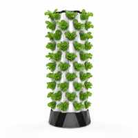 Tour hydroponique commerciale à 10 niveaux pour culture d'ananas avec pompe, pots en filet et éponges de culture pour une plantation haute densité