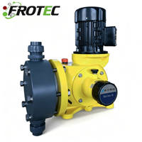 Pompe doseuse à membrane mécanique série GM GB 1800L/h 12bar pour le traitement de l'eau et la pétrochimie