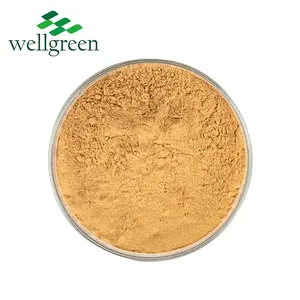 Chinese Angelica Kruid 10:1 Extract Poeder Ligustilide Angelica Sinensis Wortel Angelica Extract