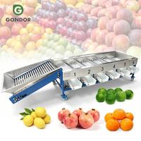 Ui Citrus Fruit Abrikoos Aardappel Fruit Avocado Dadel Formaat Sorteren Sorteermachine en verpakking van fruit