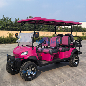 Voiture de golf électrique professionnelle 60V rose multifonctionnelle tout-terrain 6 places - Product Image 5