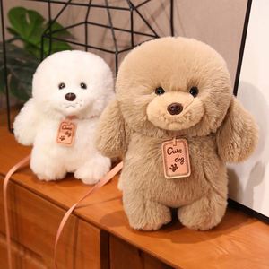 Pabrik Mainan Boneka Grosir Dekorasi Rumah Kado Ulang Tahun Boneka Hewan Unisex untuk Anak-anak Dewasa - Product Image 5