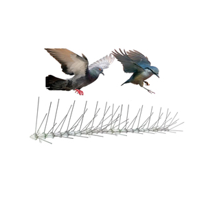 Pointes <span class=keywords><strong>anti</strong></span>-oiseaux multi-usages en acier avec base en plastique, vente en gros d'usine - Product Image 1