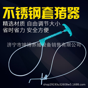 อุปกรณ์ยึดหมูคุนโบ สแตนเลสสีเขียว อุปกรณ์ปศุสัตว์สำหรับฟาร์ม - Product Image 2