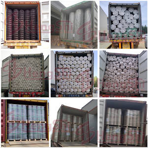 zincato a caldo saldato rete metallica gabbia per uccelli - Product Image 6