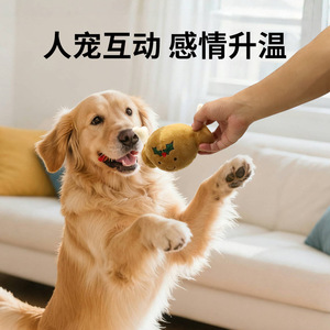 Jouet pour chien en forme de jambe de poulet en peluche, 15 cm, jouet à mâcher interactif qui émet des sons pour tous les chiens - Product Image 4