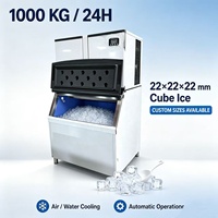 Macchina per Cubetti di Ghiaccio Commerciale da 1 Tonnellata (1000kg) con Compressore Copeland a Risparmio Energetico, Monitoraggio Remoto, in Acciaio Inossidabile, Raffreddamento ad Aria