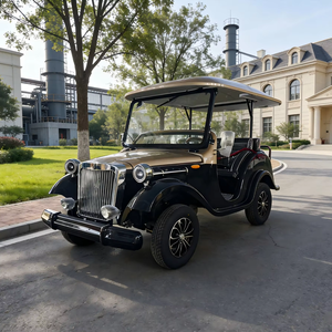 รถยนต์ไฟฟ้าคลาสสิกวินเทจสุดหรูสำหรับการขนส่งในโรงแรมและสนามบิน - Product Image 1