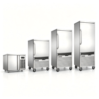 Congélateur Commercial à Refroidissement par Air à Congélation Rapide pour Usage Individuel, Machine à Congélation Rapide pour Gelato à 10 Plateaux