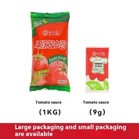 Nouveau produit Sachet pratique pour sauce tomate Ketchup Support d'emballage de sac Logo personnalisé Ketchup tomate