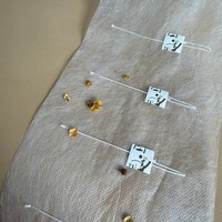Bester Preis Großhandel 25g PLA Vlies Leerer Teebeutel Material rollen Hochwertige Verpackungs-und Druck produkte