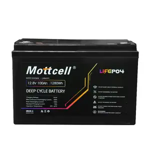 Lifepo4 12.8V Energieopslag Batterij 100ah 200ah Lithium Ijzerfosfaat Met Lifepo4 Trolley Auto 'S Batterij