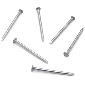 Promotional 1-6" common nail / construction steel nail for carpenter