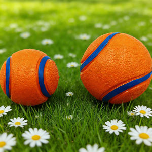 Üreticilerden Doğrudan Satış Çevre Dostu Yüksek Esneklikli Dayanıklı Yüzen Su Lastiği Evcil Hayvan Topu Oyuncakları Aktif Köpek Oyunu İçin - Product Image 6